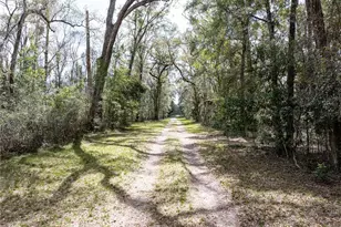 0 65th Pl A, Branford, FL 32008 - Photo 14