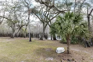 0 65th Pl A, Branford, FL 32008 - Photo 34