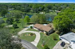 9923 E St Regis Ct, Inverness, FL 34450 - Photo 6