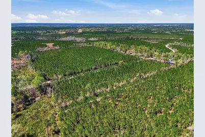 Tbd SE Pounds Hammock Road, Lake City, FL 32025 - Photo 8