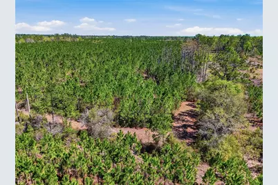 Tbd SE Pounds Hammock Road, Lake City, FL 32025 - Photo 4