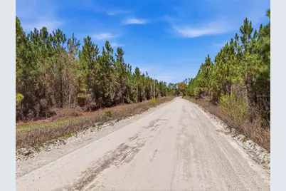 Tbd SE Pounds Hammock Road, Lake City, FL 32025 - Photo 10
