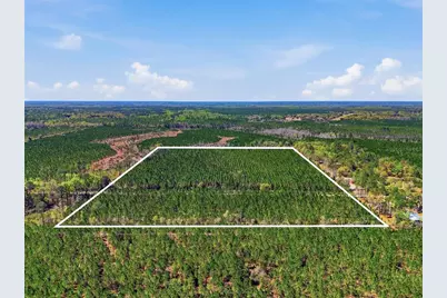 Tbd SE Pounds Hammock Road, Lake City, FL 32025 - Photo 6