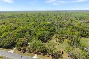 3455 NE Hwy 349, Old Town, FL 32680 - Photo 26