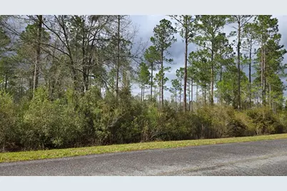 Lot 10 NW Natalie Way, Lake City, FL 32055 - Photo 4