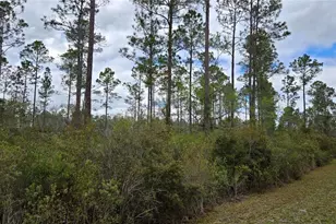 Lot 10 NW Natalie Way, Lake City, FL 32055 - Photo 1