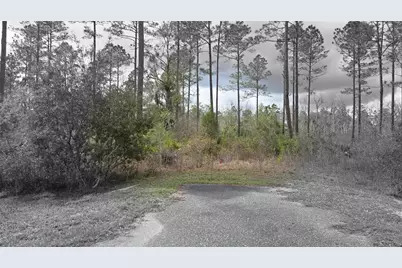 Lot 10 NW Natalie Way, Lake City, FL 32055 - Photo 2