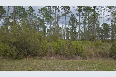 Lot 10 NW Natalie Way, Lake City, FL 32055 - Photo 6
