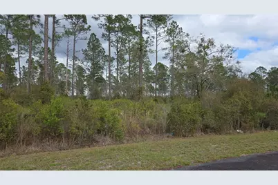 Lot 9 NW Natalie Way, Lake City, FL 32055 - Photo 4