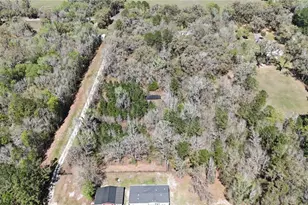 10750 NW 190th St, Micanopy, FL 32667 - Photo 12