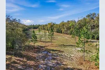 8920 NE 8th Place, High Springs, FL 32643 - Photo 34