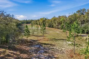 8920 NE 8th Pl, High Springs, FL 32643 - Photo 34