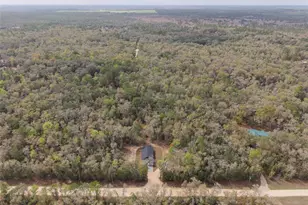 12890 NE 107th Ave, Archer, FL 32618 - Photo 2