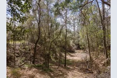12890 NE 107th Avenue, Archer, FL 32618 - Photo 20