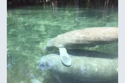 1376 Riverside Avenue, Fort White, FL 32038 - Photo 36