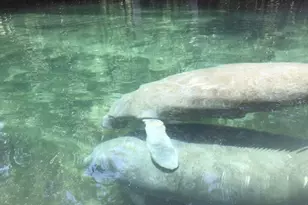 1376 Riverside Ave, Fort White, FL 32038 - Photo 36