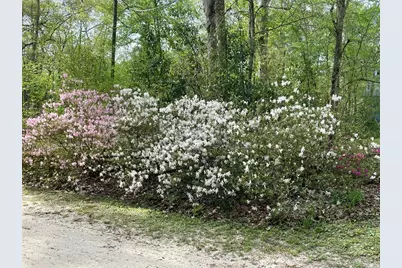 1376 Riverside Avenue, Fort White, FL 32038 - Photo 40