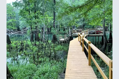 1376 Riverside Avenue, Fort White, FL 32038 - Photo 2