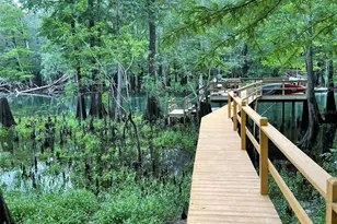 1376 Riverside Ave, Fort White, FL 32038 - Photo 2