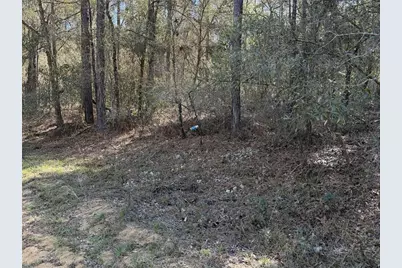 Se 7th Avenue, Interlachen, FL 32148 - Photo 2