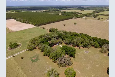4351 NW 76th Court, Chiefland, FL 32626 - Photo 8