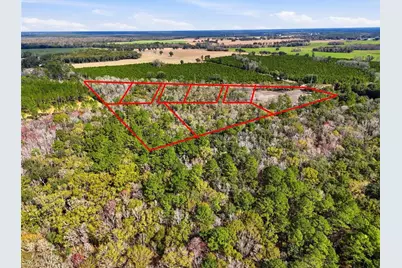 20994 SW County Road 18 #Lot 2, Brooker, FL 32622 - Photo 6