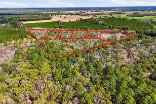 20994 SW County Rd 18, Brooker, FL 32622 - Photo 6