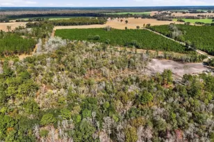 20994 SW County Rd 18, Brooker, FL 32622 - Photo 14