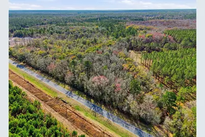 20994 SW County Road 18 #Lot 3, Brooker, FL 32622 - Photo 6