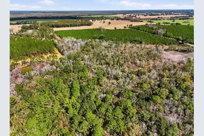 20994 SW County Road 18 #Lot 4, Brooker, FL 32622 - Photo 12