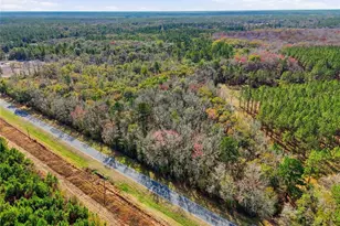 20994 SW County Rd 18, Brooker, FL 32622 - Photo 6