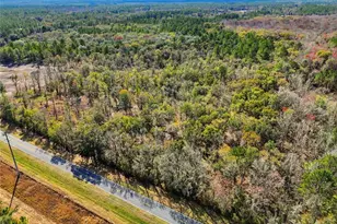 20994 SW County Rd 18, Brooker, FL 32622 - Photo 8