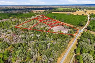 20994 SW County Rd 18, Brooker, FL 32622 - Photo 4