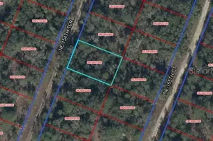 Tbd NE 154th Terrace, Williston, FL 32696 - Photo 1