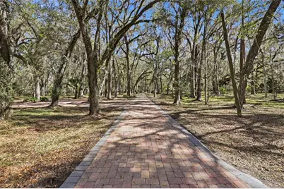 11922 SW 16th Street, Micanopy, FL 32667 - Photo 8