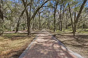 11922 SW 16 St, Micanopy, FL 32667 - Photo 8