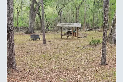 4250 NW 81st Lane, Bell, FL 32619 - Photo 36