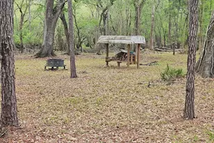 4250 NW 81st Ln, Bell, FL 32619 - Photo 36