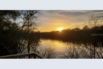 4250 NW 81st Lane, Bell, FL 32619 - Photo 18