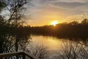 4250 NW 81st Ln, Bell, FL 32619 - Photo 18