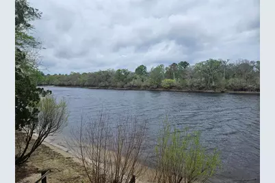 4250 NW 81st Lane, Bell, FL 32619 - Photo 6