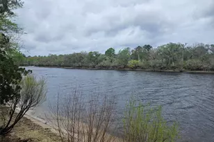 4250 NW 81st Ln, Bell, FL 32619 - Photo 6