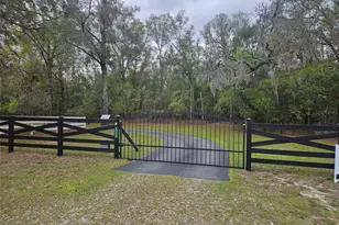 4250 NW 81st Ln, Bell, FL 32619 - Photo 2