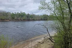 4250 NW 81st Ln, Bell, FL 32619 - Photo 16