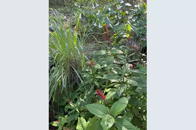 14977 SE County Road 2082, Hawthorne, FL 32640 - Photo 22