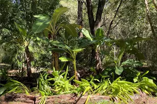 14977 SE County Rd 2082, Hawthorne, FL 32640 - Photo 20