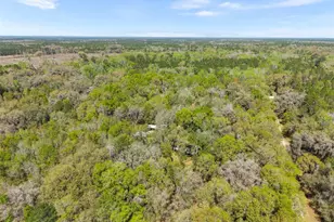 14977 SE County Rd 2082, Hawthorne, FL 32640 - Photo 42