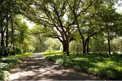 728 SW 131 Street, Newberry, FL 32669 - Photo 4