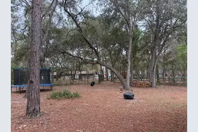 6789 E Brook Drive, Keystone Heights, FL 32656 - Photo 12