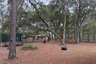 6789 E Brook Dr, Keystone Heights, FL 32656 - Photo 12